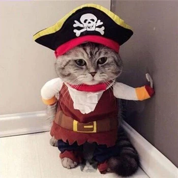 Halloween Prático e Engraçado Traje de Estimação de Função de Jogar Pirata Cão Gato Partido Presentes Linda Adequado para Pequenas e Médias Cães Roupas