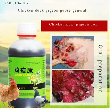 A galinha, pato, ganso, varíola, varicela, uso veterinário, ervilha, varicela